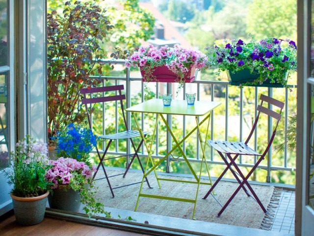 Plantes luxuriantes sur un balcon ombragé illustrant les options de végétation pour espaces avec peu de soleil