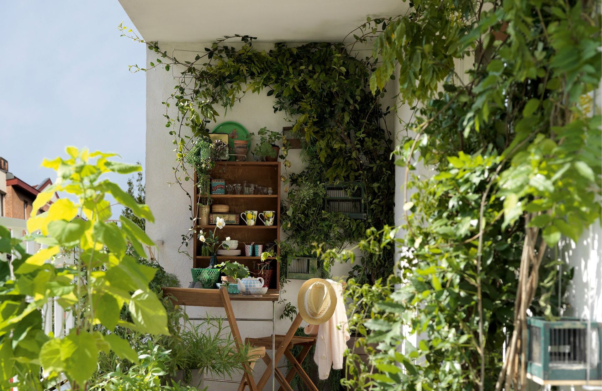 Balkon intime aménagé avec des plantes grimpantes et un paravent en bois pour la confidentialité