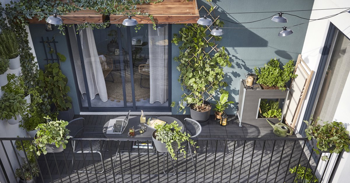 Plantes retombantes verdoyantes sur balcon avec différents pots suspendus