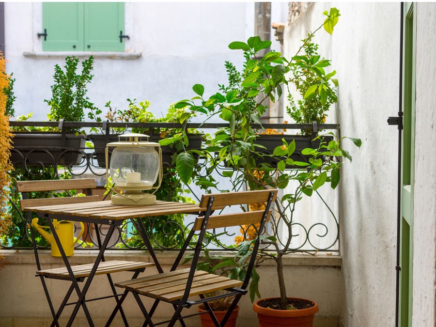 Idées décoration balcon été avec plantes
