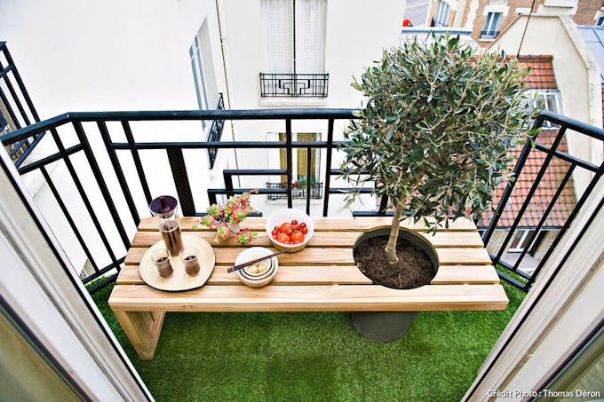 Plantes d'intérieur purifiant l'air dans un salon lumineux