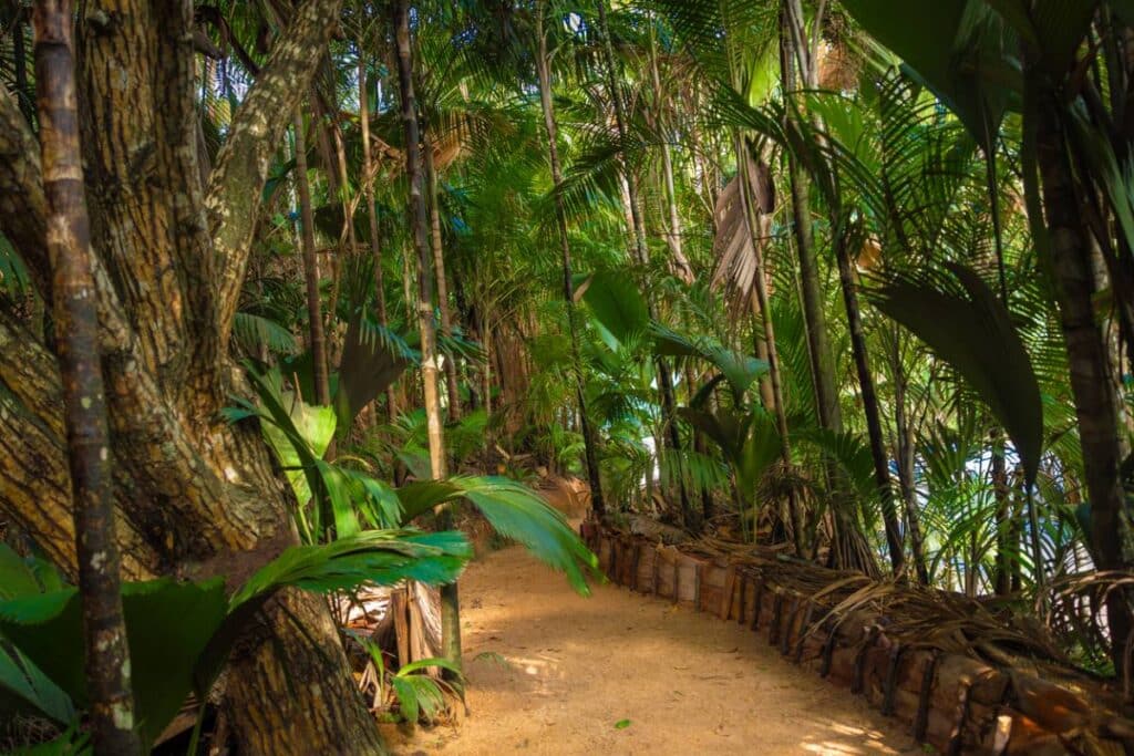 activités en famille Praslin Seychelles